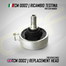 Testina